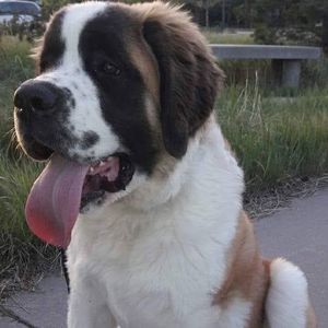 Meet your Posher, Letty